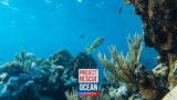 Project Rescue Ocean x Univ'île : 166€ reversés en Novembre 2023