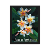 Affiche Fleur de Frangipanier Univ'île