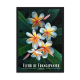 Affiche de La Réunion Fleur de Frangipanier 50 × 70 cm / Sans Cadre - Univile La Réunion