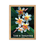 Affiche de La Réunion Fleur de Frangipanier 30 × 40 cm / Noir - Univile La Réunion