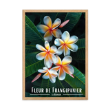 Affiche de La Réunion Fleur de Frangipanier 30 × 40 cm / Oak - Univile La Réunion