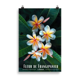 Affiche Fleur de Frangipanier Univ'île