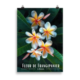 Affiche Fleur de Frangipanier Univ'île