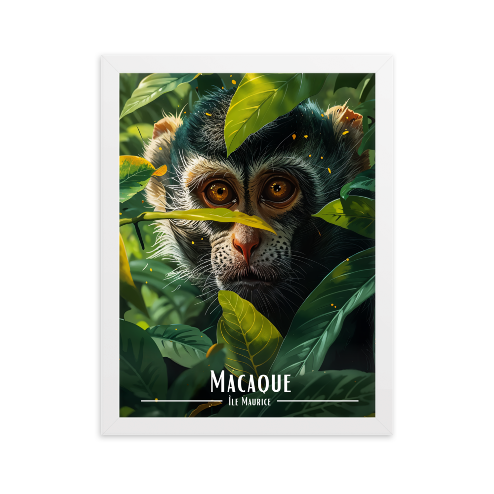 Tableau Macaque Mauricien 61 × 91 cm Sans Cadre - Univile