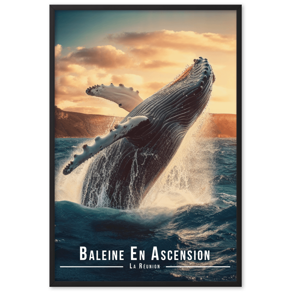 Tableau Baleine Sautant Hors de l'Eau Baleine Sautant Hors de l'Eau - 61 × 91 cm / Noir - UNIV'ÎLE