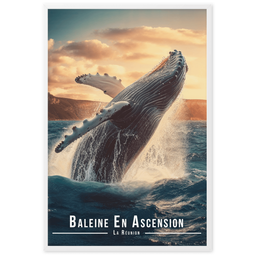Tableau Baleine Sautant Hors de l'Eau Baleine Sautant Hors de l'Eau - 61 × 91 cm / Blanc - UNIV'ÎLE