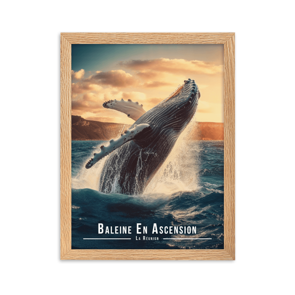 Tableau Baleine Sautant Hors de l'Eau Baleine Sautant Hors de l'Eau - 30 × 40 cm / Oak - UNIV'ÎLE
