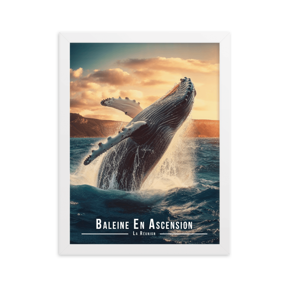 Tableau Baleine Sautant Hors de l'Eau Baleine Sautant Hors de l'Eau - 30 × 40 cm / Blanc - UNIV'ÎLE
