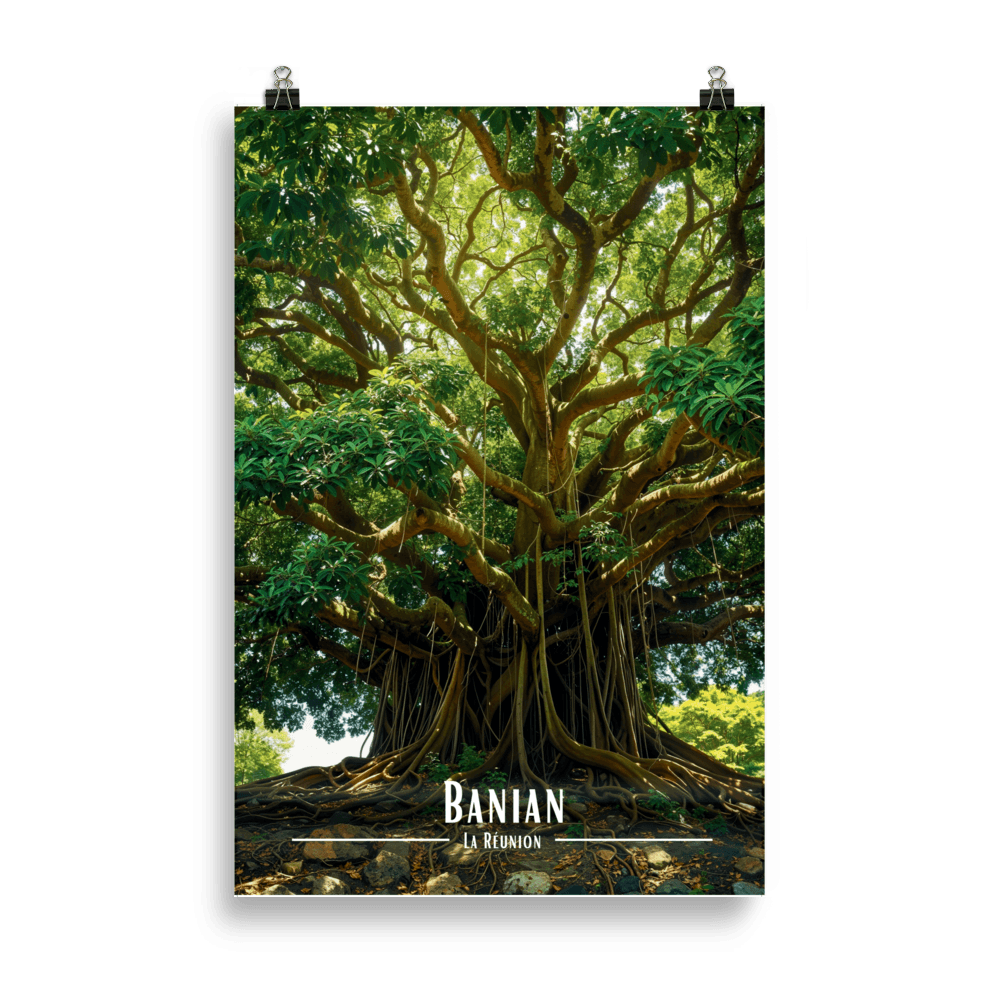 Tableau Banian en haut de la colline Banian en haut de la colline - 61 × 91 cm / Sans Cadre - UNIV'ÎLE