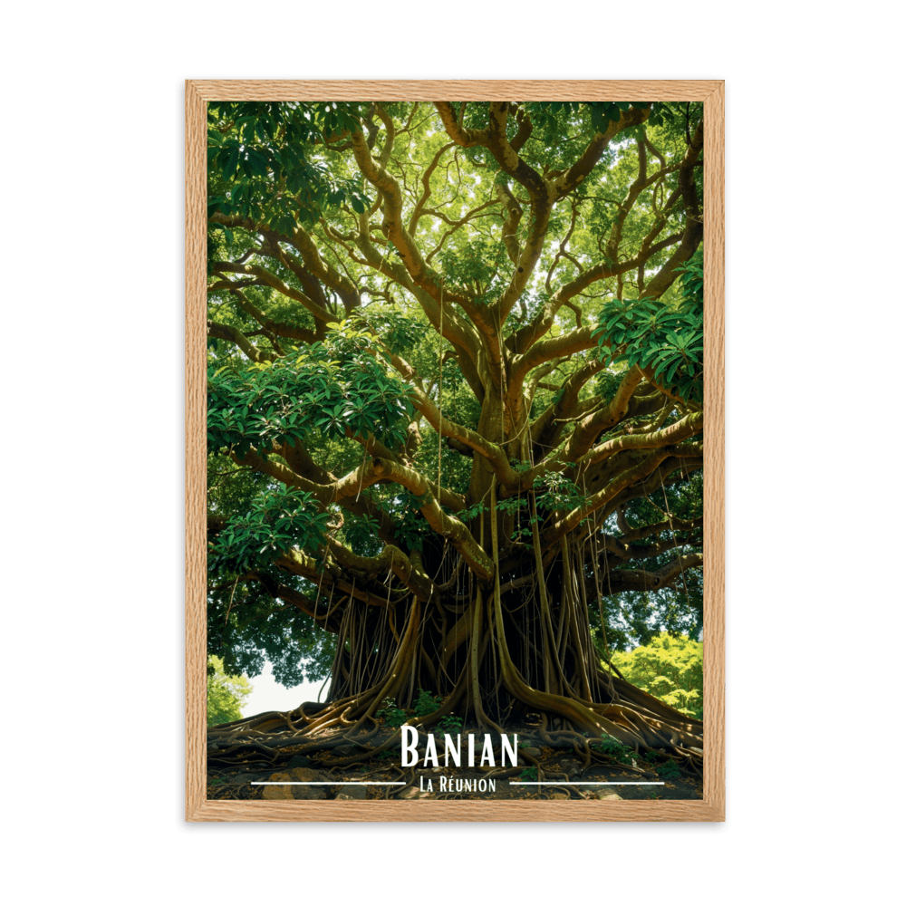 Tableau Banian en haut de la colline Banian en haut de la colline - 50 × 70 cm / Oak - UNIV'ÎLE
