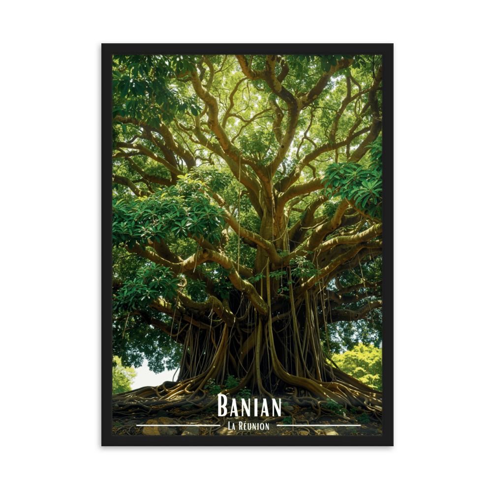 Tableau Banian en haut de la colline Banian en haut de la colline - 50 × 70 cm / Noir - UNIV'ÎLE