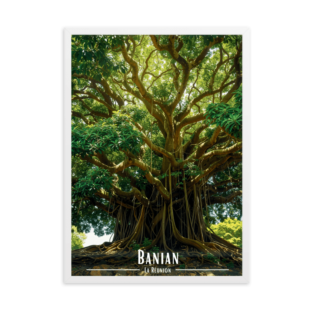 Tableau Banian en haut de la colline Banian en haut de la colline - 50 × 70 cm / Blanc - UNIV'ÎLE