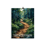 Affiche de La Réunion Forêt de Cryptomeria 61 × 91 cm / Blanc - Univile La Réunion