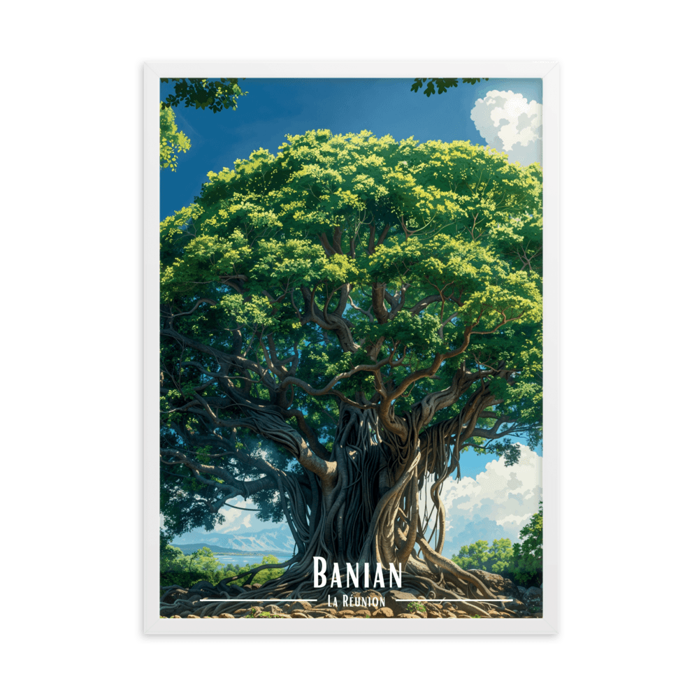 Tableau Le Banian Le Banian - 50 × 70 cm / Blanc - UNIV'ÎLE
