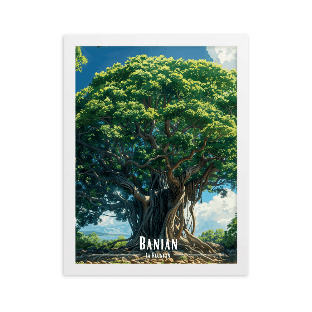 Tableau Le Banian Le Banian - 30 × 40 cm / Blanc - UNIV'ÎLE