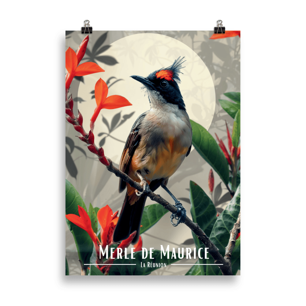 Tableau Merle maurice fleuri Merle maurice fleuri - 50 × 70 cm / Sans Cadre - UNIV'ÎLE