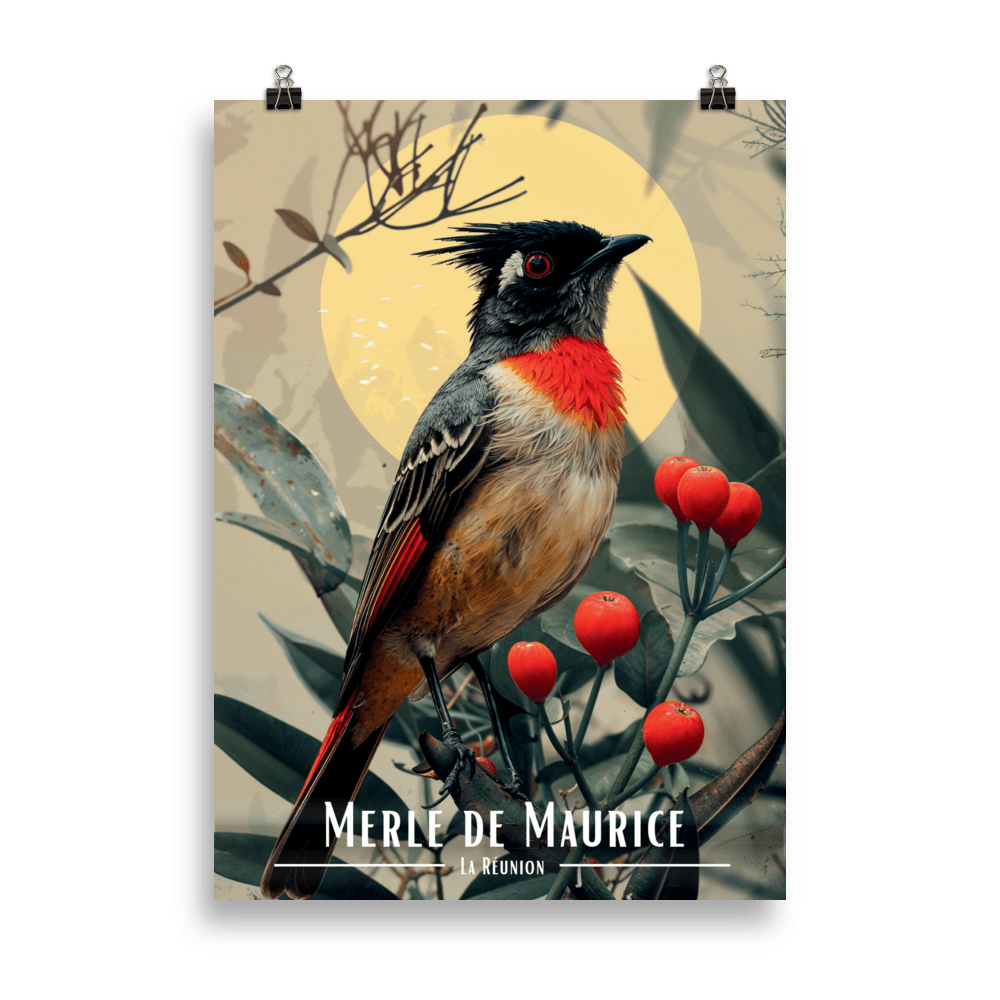 Tableau Merle maurice Merle maurice - 50 × 70 cm / Sans Cadre - UNIV'ÎLE