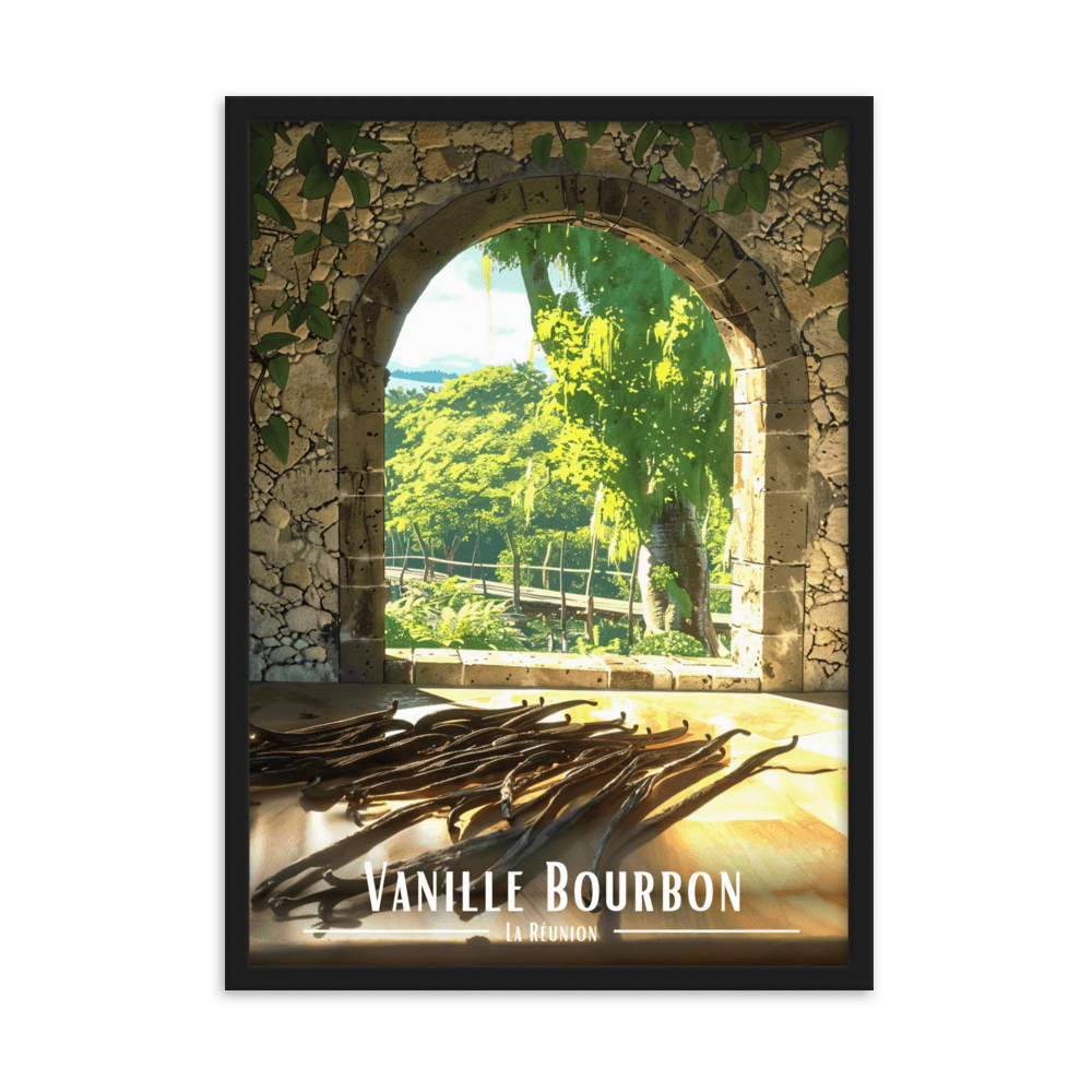 Tableau Vanille Bourbon Vanille Bourbon - 50 × 70 cm / Noir - UNIV'ÎLE