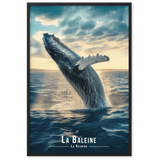 Baleine en Ascension près de la Réunion - UNIV'ÎLE