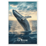 Baleine en Ascension près de la Réunion - UNIV'ÎLE