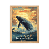 Baleine en Saut Illustrée - UNIV'ÎLE