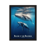 Baleine et Son Petit - UNIV'ÎLE
