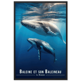 Baleine et Son Petit - UNIV'ÎLE