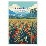 Illustration d'Ananas Victoria - UNIV'ÎLE