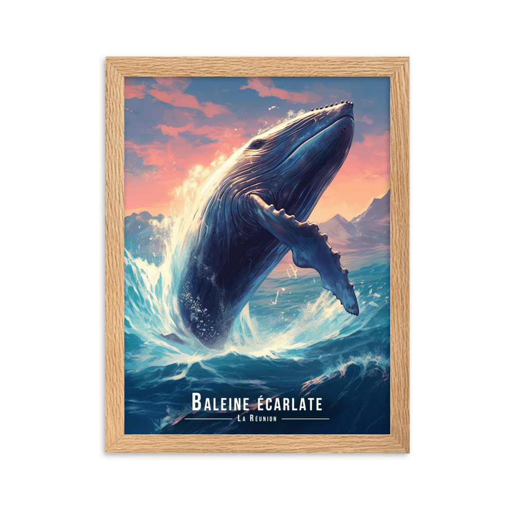 Magnifique Baleine Sautant Hors de l'Eau - UNIV'ÎLE