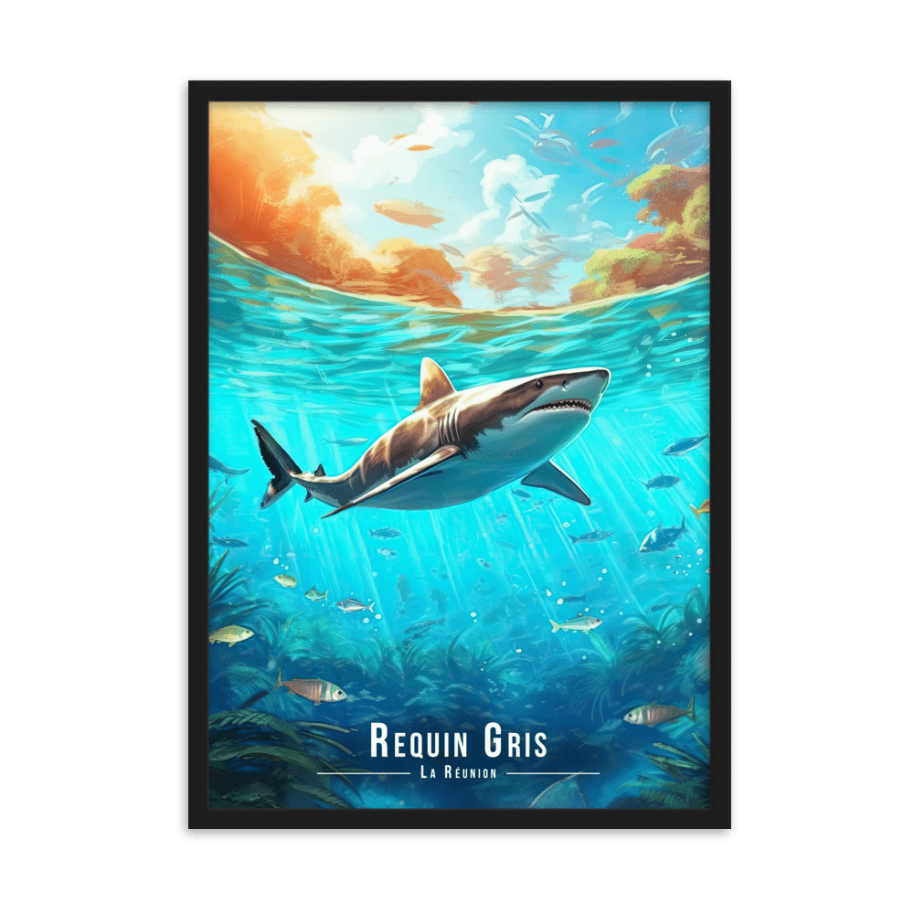 Requin sous les Eaux Réunionnaises - UNIV'ÎLE
