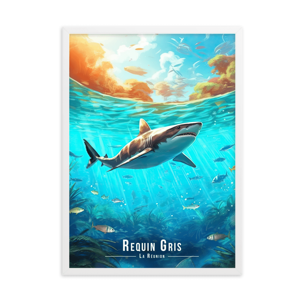 Requin sous les Eaux Réunionnaises - UNIV'ÎLE