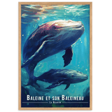 Une Baleine et Son Baleineau - UNIV'ÎLE