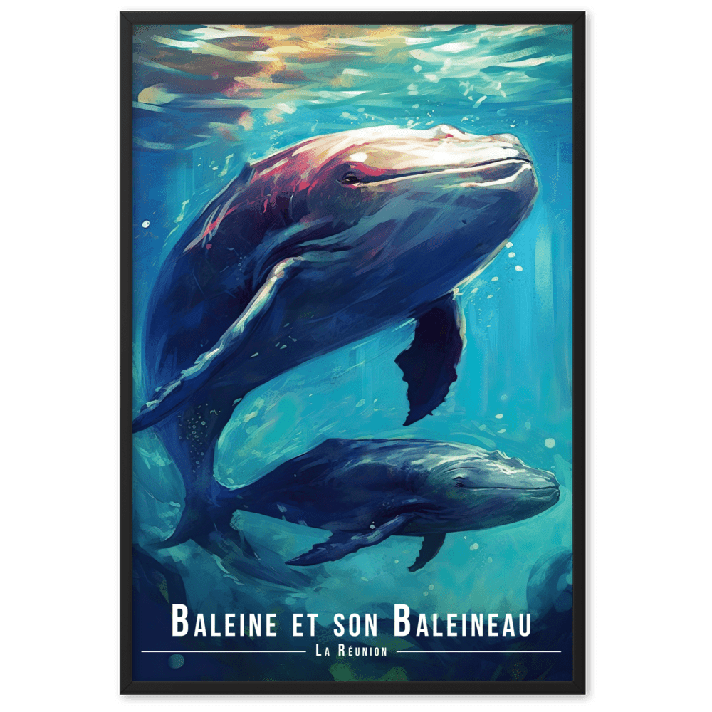 Une Baleine et Son Baleineau - UNIV'ÎLE